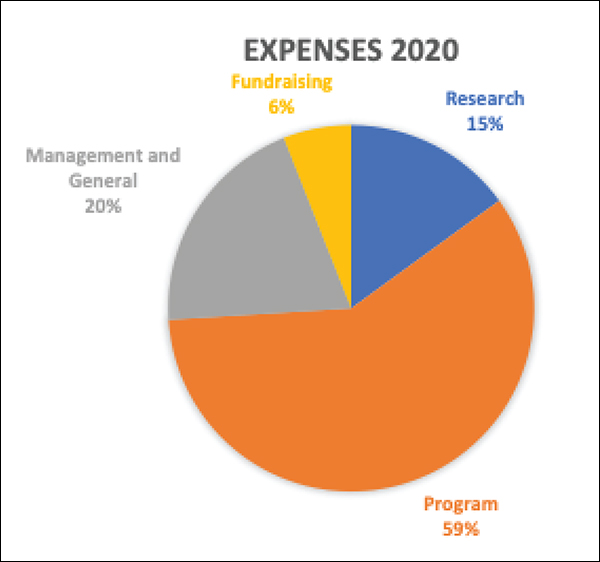 Chart of 2020 expenses