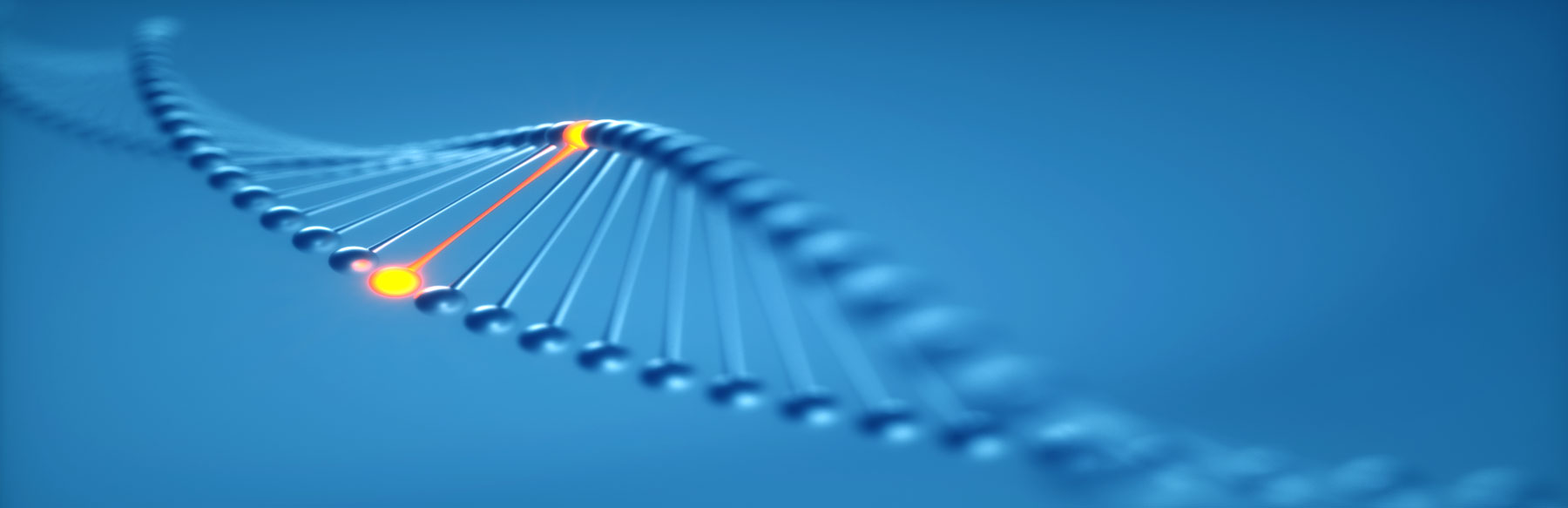 For Researchers: A strand of DNA with one element isolated