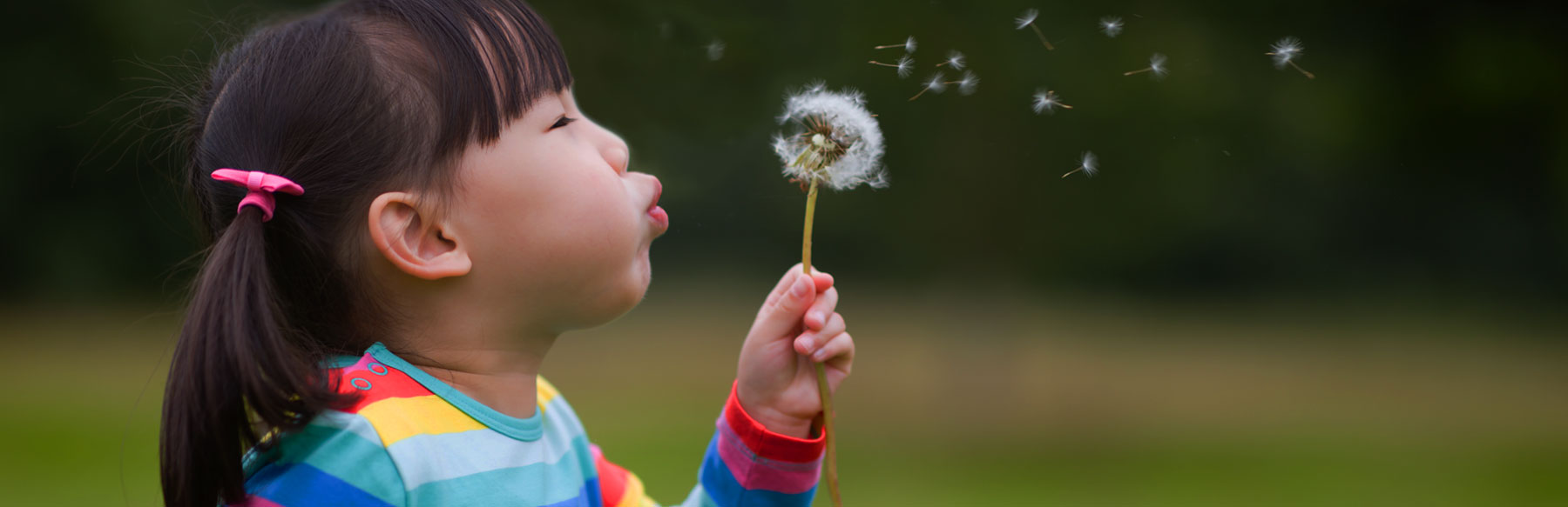 Photo of Girl blowing on dandelion