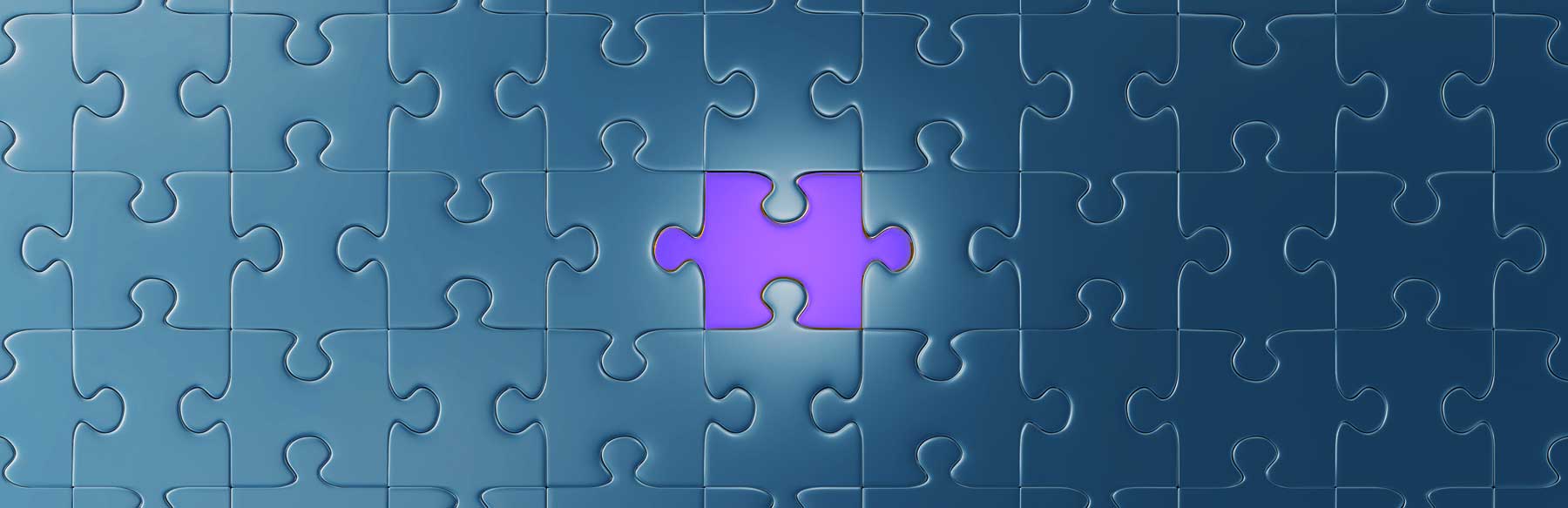 Graphic of puzzle piece