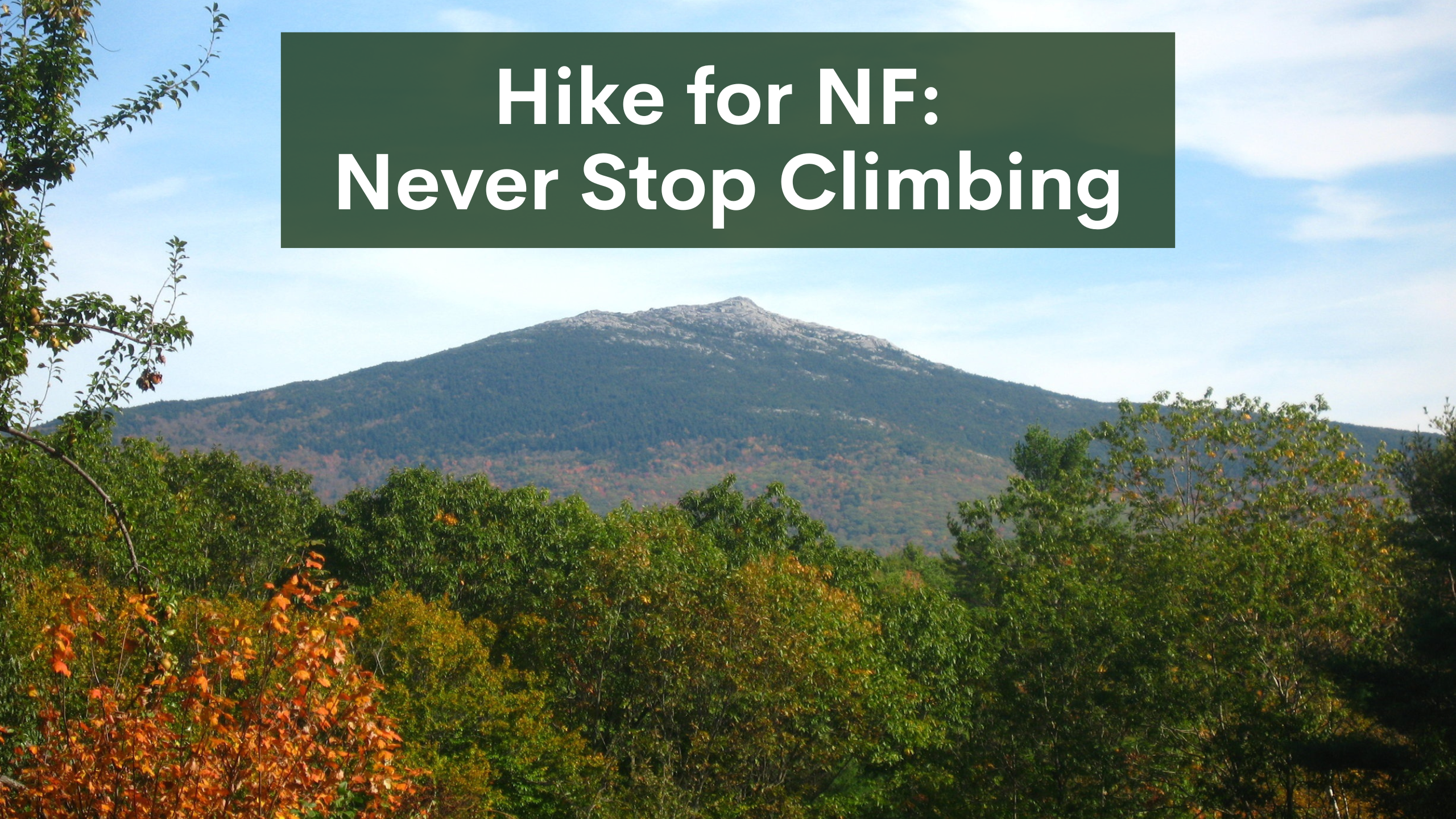 Photo of mountain top for Hike for NF